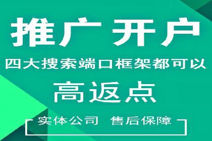 百度搜索推广实战：经典案例深度剖析