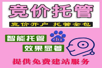 深度解析百度竞价公司的广告投放策略及效果